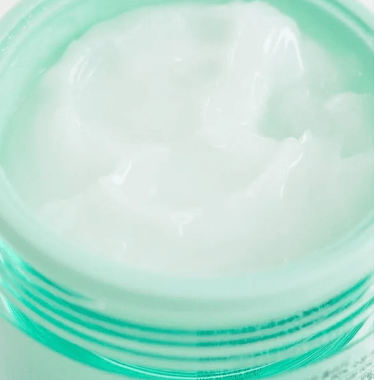 HOLIKA HOLIKA - Aloe Soothing Essence 80% Moist Cream - 100ml - Bare Face Beauty
